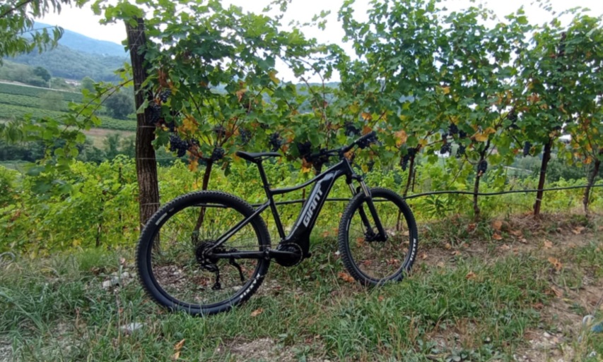 Rent E-Mountain Bike